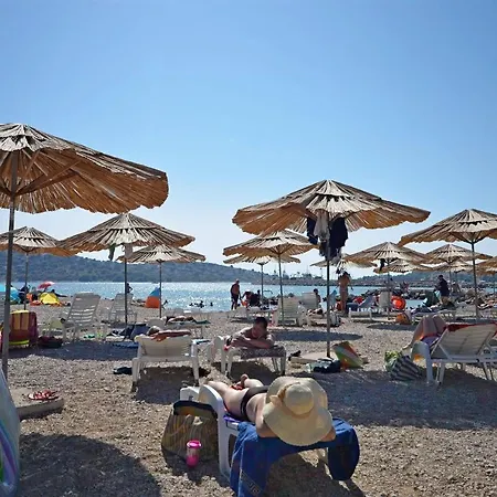 Apartment Apartments Mila Family With Pool Tribunj (Sibenik-Knin)